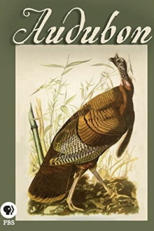 Audubon Trailer