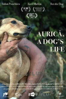Aurica, a Dog's Life Trailer