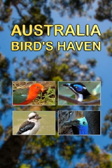 Australia, Bird's Haven Trailer