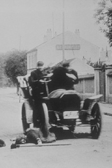 Automobile Accident Trailer