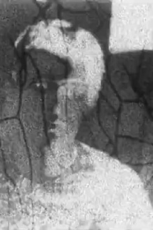 Autoportrait refilmé Trailer