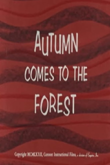 Autumn Comes to the Forest Trailer