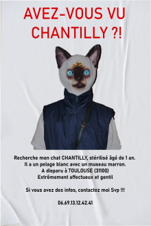 AVEZ-VOUS VU CHANTILLY ?! Trailer