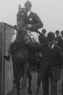 Aylesbury Hunt Steeplechases Trailer