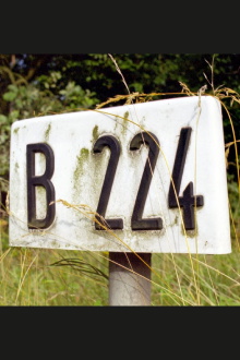B 224 Trailer