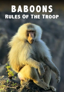 Baboons: Rules of the Troop Trailer
