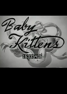 Baby Kittens Trailer