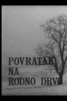 Back to His Native Woods Trailer