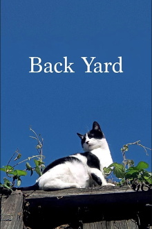 Back Yard Trailer