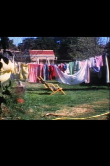 Backyard Economy 1 Trailer