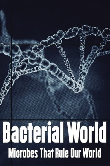 Bacterial World Trailer