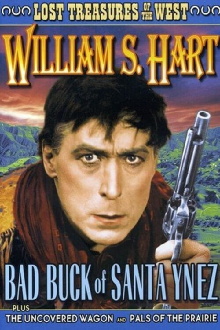 Bad Buck of Santa Ynez Trailer