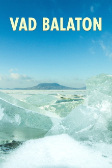 Balaton Trailer