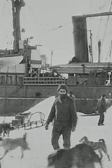 Baldwin-Ziegler North Pole Expedition Trailer
