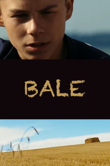 Bale Trailer