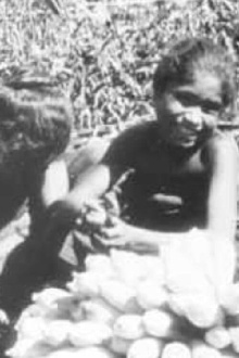 Bali - Flores Cultural Ethnological Film About the Lesser Sunda Islands Trailer