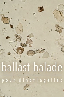 Ballast Stowaways Dinoflagellates Trailer