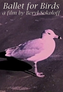 Ballet for Birds Trailer
