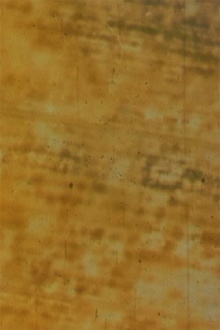 Bamboo Trailer