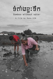 Bamboo without Water Trailer