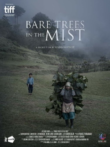 Bare Trees in the Mist Trailer
