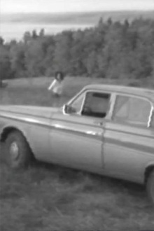Barking Trailer
