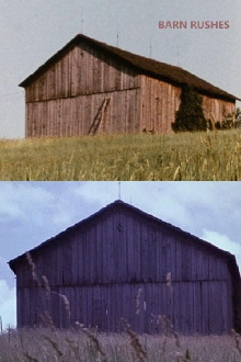Barn Rushes Trailer