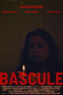 Bascule Trailer