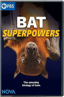 Bat Superpowers Trailer