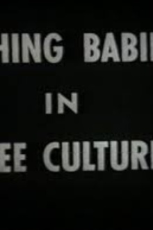 Bathing Babies in Three Cultures Trailer