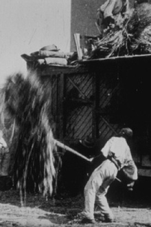 Batteuse de blé Trailer