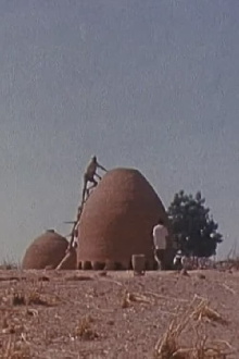 Bawra Trailer