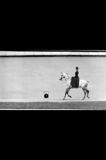 Bay Horse, Ridden by Thérèse Rentz, Canter Trailer