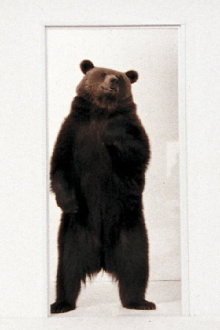 Bear Trailer