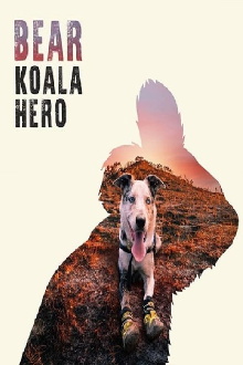 Bear: Koala Hero Trailer