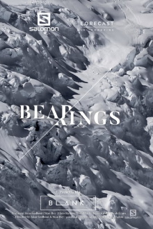 Bearings Trailer