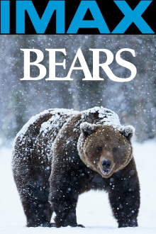 Bears Trailer
