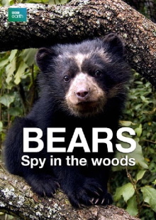 Bears: Spy in the Woods Trailer