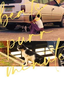 beats purr minute Trailer