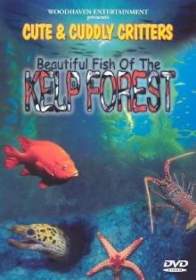 Beautiful Fish of the Kelp Forest Trailer