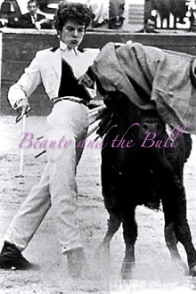Beauty and the Bull Trailer