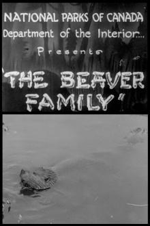 Beaver Family Trailer