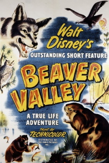 Beaver Valley Trailer