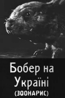 Beavers in Ukraine Trailer