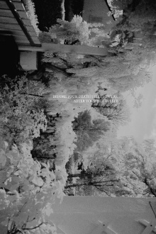Before your death I see flowers, After your death I see Trailer