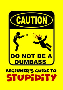 Beginner's Guide To Stupidity Trailer