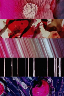 Begone Dull Care Trailer