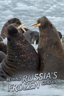 Behind Russia's Frozen Curtain Trailer