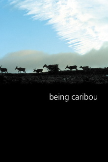Being Caribou Trailer