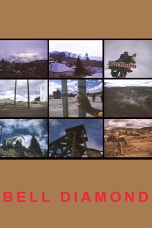 Bell Diamond Trailer
